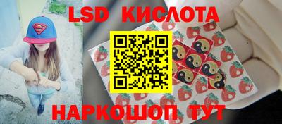 стафф Тара