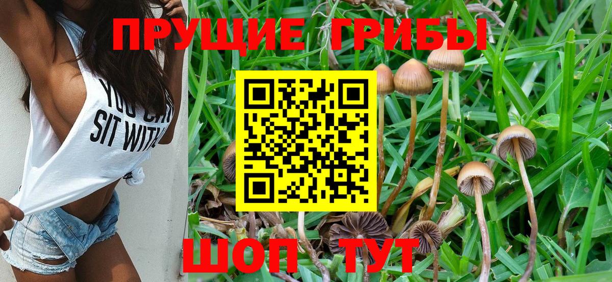 Псилоцибиновые грибы ЛСД  Прохладный  Галлюциногенные грибы ЛСД 